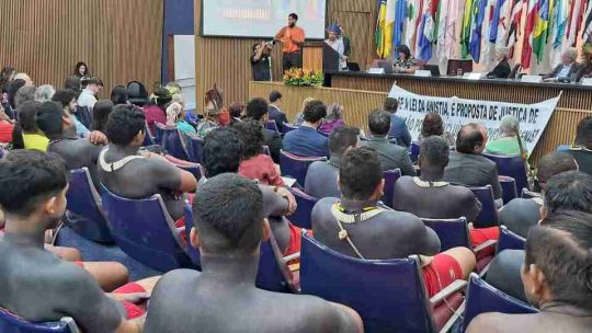 Comissão aprova pedido inédito de anistia a dois povos indígenas