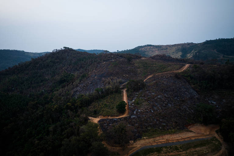 Após incêndio, cidade teme efeito da fumaça na produção de vinhos finos na divisa de SP e MG